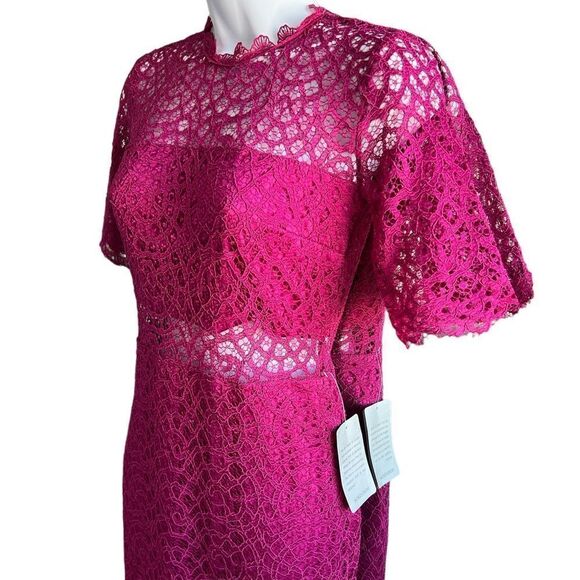 LOVE X DESIGN Lace Sheer Panel Knee Length Dress Berry Color Size XS - Picture 3 of 8
